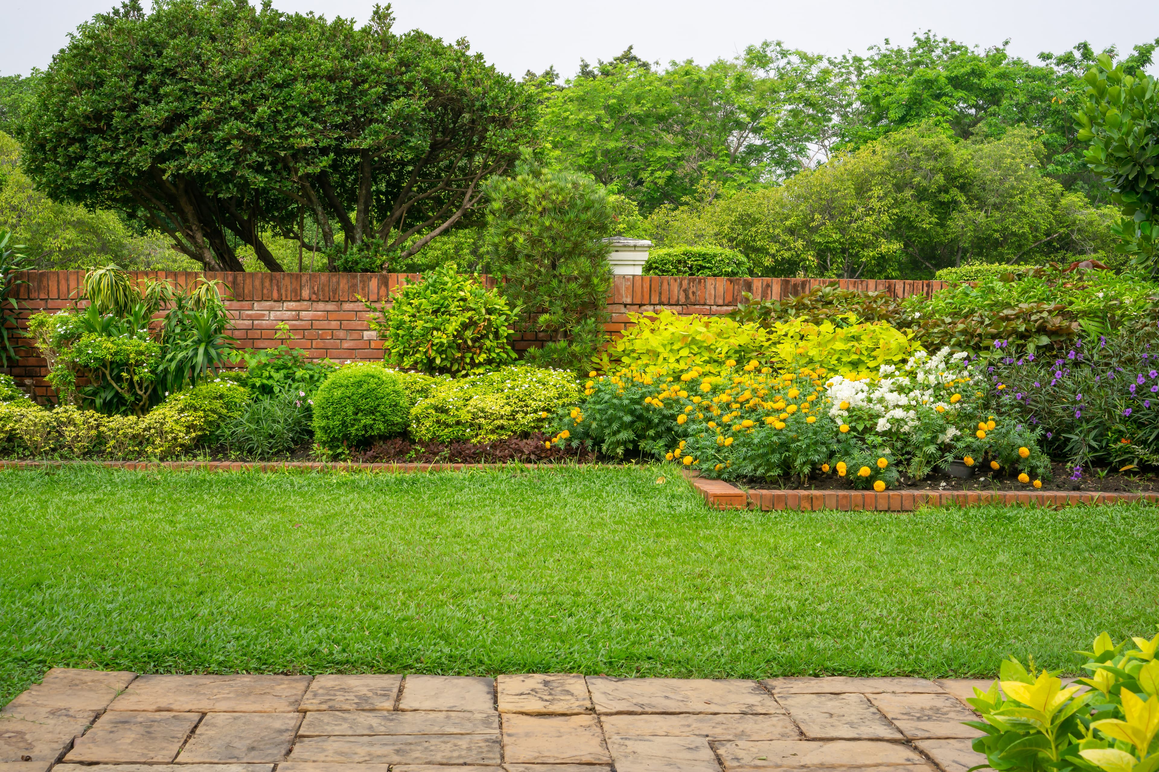 Jardin privé